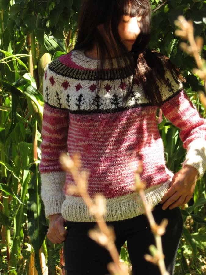 Sweater artesanal de lana de oveja tejido en Purmamarca